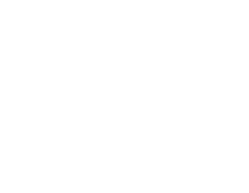 PCI DSS